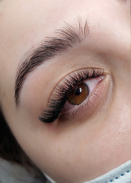 Classic Lash Training